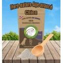 FLORE-NATURE AGE AVANCE CHIEN