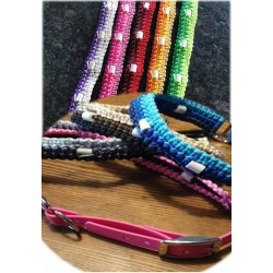 collier anti tiques et anti puces pour chien