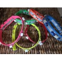 Collier EM Biothane® pour chien – Élégance, confort et approche naturelle
