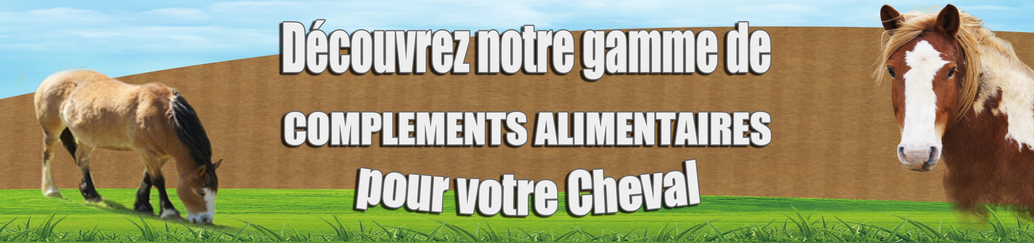 Notre gamme de compléments alimentaires pour votre chat