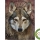 retour client Maika flore Nature Âge Avancé Chien