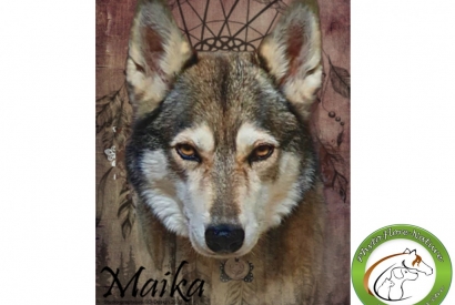 retour client Maika flore Nature Âge Avancé Chien
