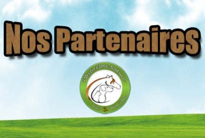 Nos partenaires